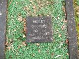 image of grave number 665123